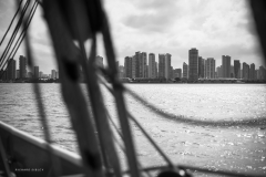 Tall Ship Morgenster, Belem to Den Helder 2025