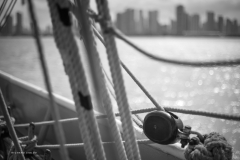 Tall Ship Morgenster, Belem to Den Helder 2025