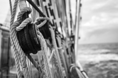 Tall Ship Morgenster, Belem to Den Helder 2025