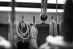 Tall Ship Morgenster, Belem to Den Helder 2025