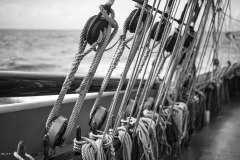 Tall Ship Morgenster, Belem to Den Helder 2025