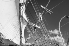 Tall Ship Morgenster, Belem to Den Helder 2025