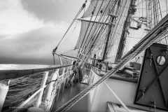Tall Ship Morgenster, Belem to Den Helder 2025