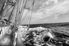 Tall Ship Morgenster, Belem to Den Helder 2025