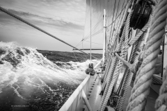 Tall Ship Morgenster, Belem to Den Helder 2025
