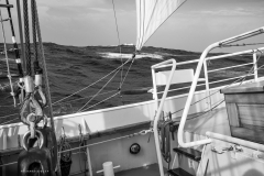 Tall Ship Morgenster, Belem to Den Helder 2025