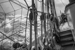 Tall Ship Morgenster, Belem to Den Helder 2025