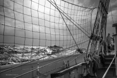 Tall Ship Morgenster, Belem to Den Helder 2025