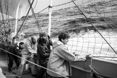 Tall Ship Morgenster, Belem to Den Helder 2025