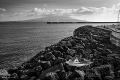 Tall Ship Morgenster, Belem to Den Helder 2025