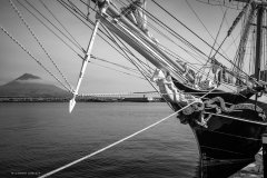 Tall Ship Morgenster, Belem to Den Helder 2025