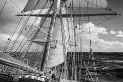 Tall Ship Morgenster, Belem to Den Helder 2025