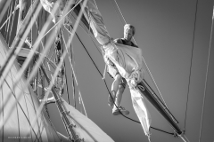 Tall Ship Morgenster, Belem to Den Helder 2025