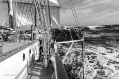 Tall Ship Morgenster, Belem to Den Helder 2025
