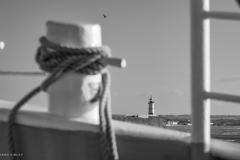 Tall Ship Morgenster, Belem to Den Helder 2025