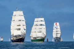 RS33839 RS33839