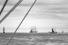 Aberdeen tall ships race 2025