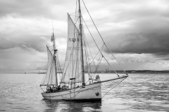 Aberdeen tall ships race 2025