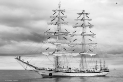 Aberdeen tall ships race 2025