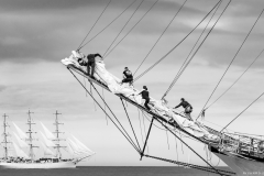 Aberdeen tall ships race 2025