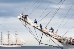 Aberdeen tall ships race 2025