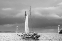 Aberdeen tall ships race 2025