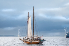 Aberdeen tall ships race 2025