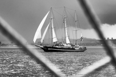 Aberdeen tall ships race 2025