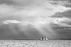 Aberdeen tall ships race 2025