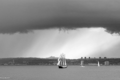 Aberdeen tall ships race 2025