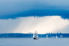Aberdeen tall ships race 2025