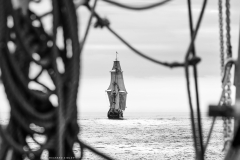 Aberdeen tall ships race 2025
