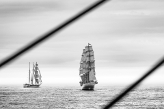 Aberdeen tall ships race 2025