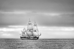 Aberdeen tall ships race 2025