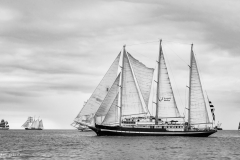 Aberdeen tall ships race 2025