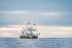 Aberdeen tall ships race 2025