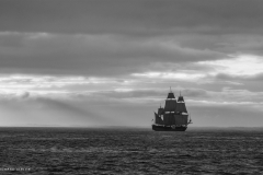 Aberdeen tall ships race 2025