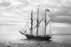 Aberdeen tall ships race 2025