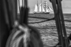 DSC0734.jpg