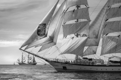 Bergen race start 2014