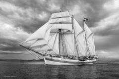 Parade of sail Bergen 2014 Parade of sail Bergen 2014