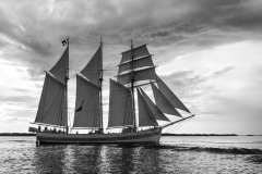 Parade of sail Bergen 2014