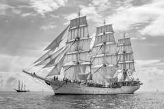 Bergen race start 2014