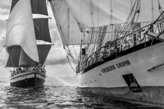 Bergen race start 2014