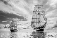 Bergen race start 2014