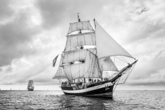 Bergen race start 2014