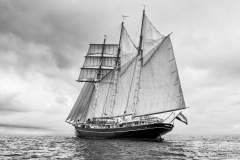 Bergen race start 2014