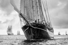 Bergen race start 2014