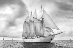 Bergen race start 2014