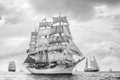 Bergen race start 2014